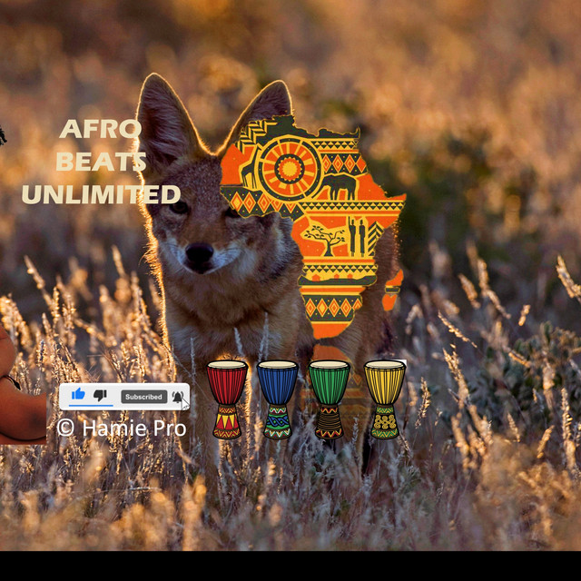 Bounce ruger - Afro Beat Fusion - song and lyrics by Hamie Pro | Spotify