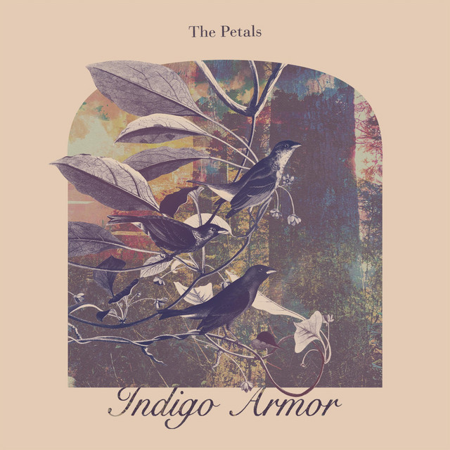 Indigo Armor cover art