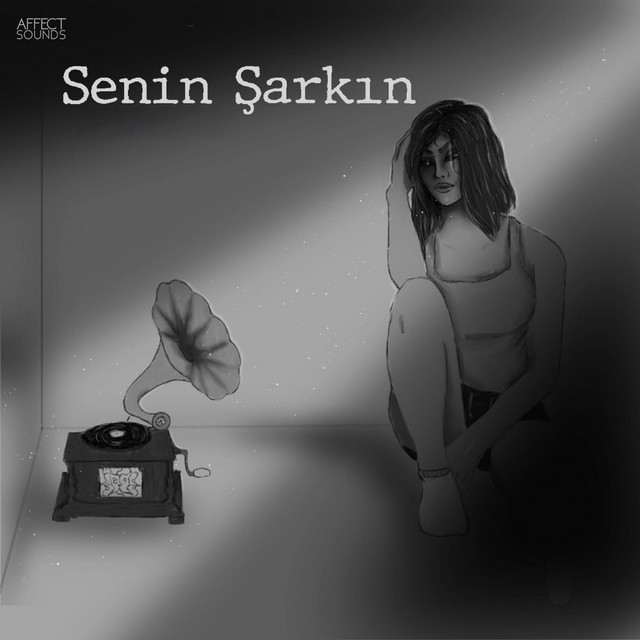 Senin Șarkın