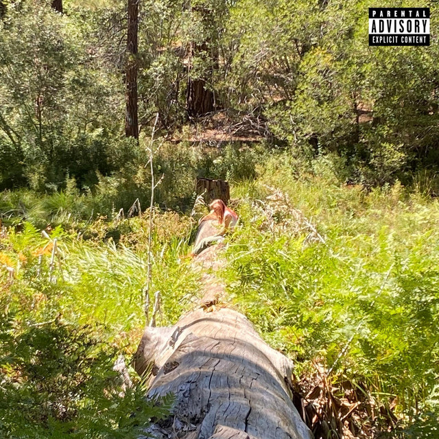 strange creature cover art