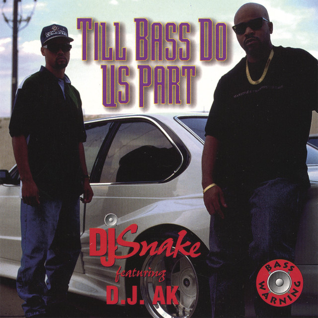 Till Bass Do Us Part cover art
