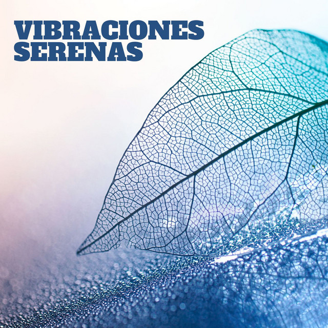 Vibraciones Serenas: Música Zen para Yoga y Meditación Profunda