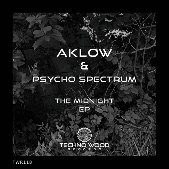 The Midnight - Original Mix