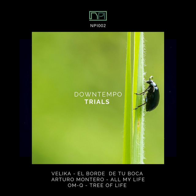 Downtempo Trials cover art