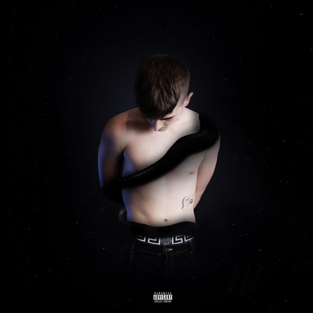 DDI cover art