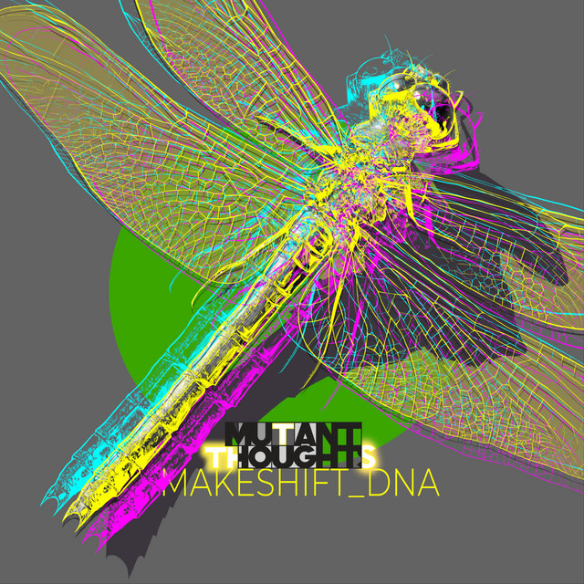 Makeshift_DNA cover