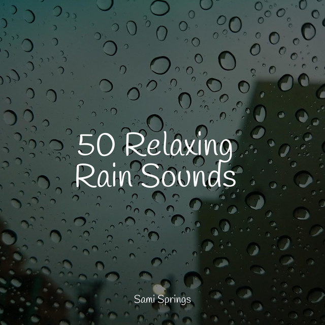 50 Soothing Winter Rain Sounds - Album by Pro Sound Effects Library ...
