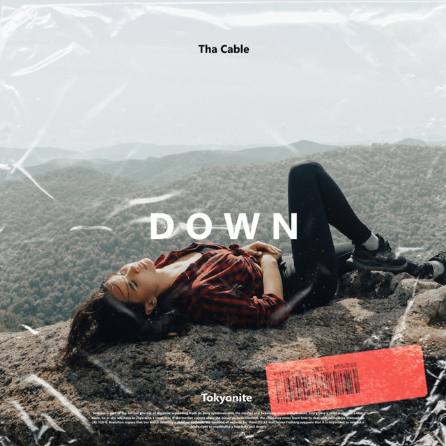Down cover art