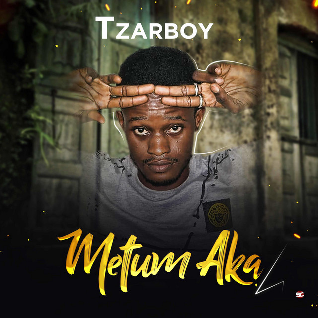 Metum aka cover art