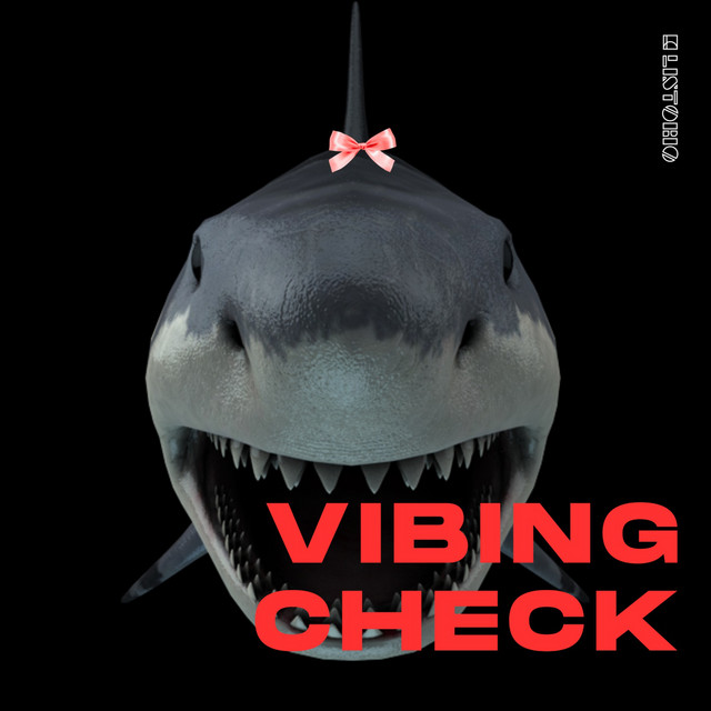 Vibing Check