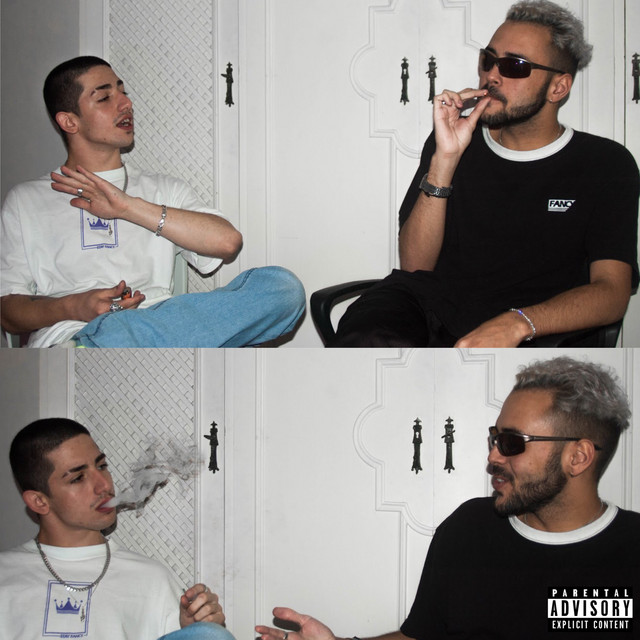 Fancyplug cover art