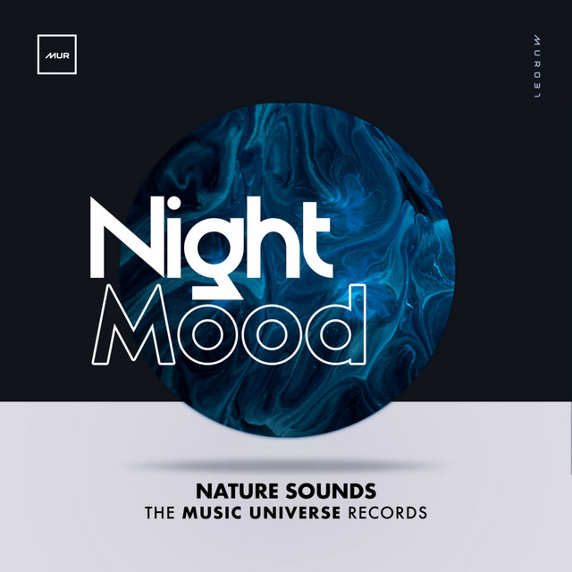Night Mood cover art