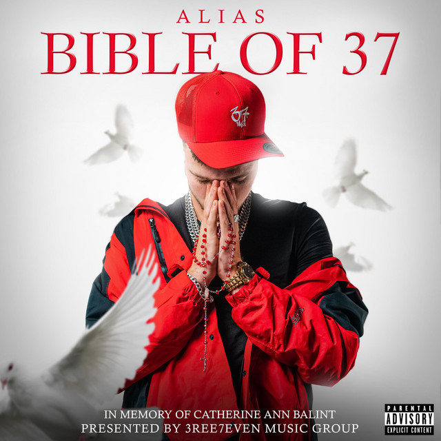 Bible Of 37 cover art
