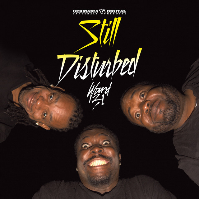 Still Disturbed cover art