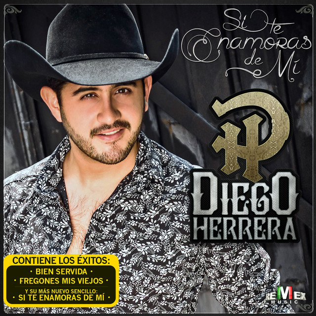 Si Te Enamoras de Mí cover art