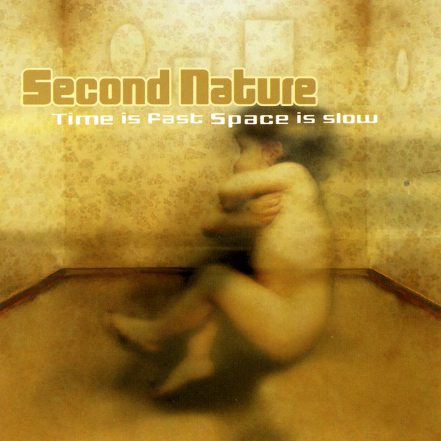 Time is Fast Space is Slow cover art