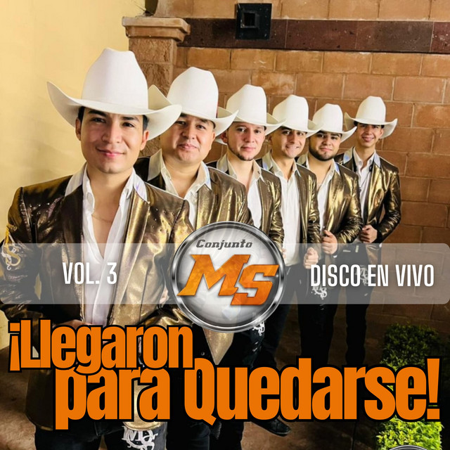 Llegaron Para Quedarse (En Vivo) cover art