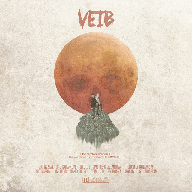 VEIB cover art