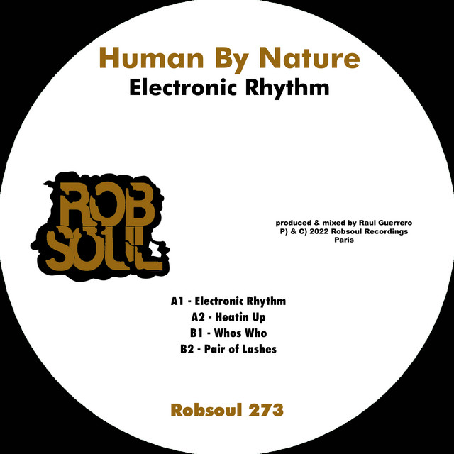 Electronic Rhythm album art