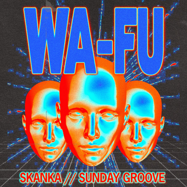 Skanka - Extended Mix album art