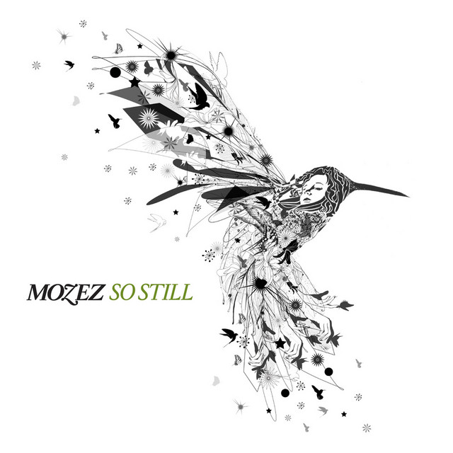 So Still cover art