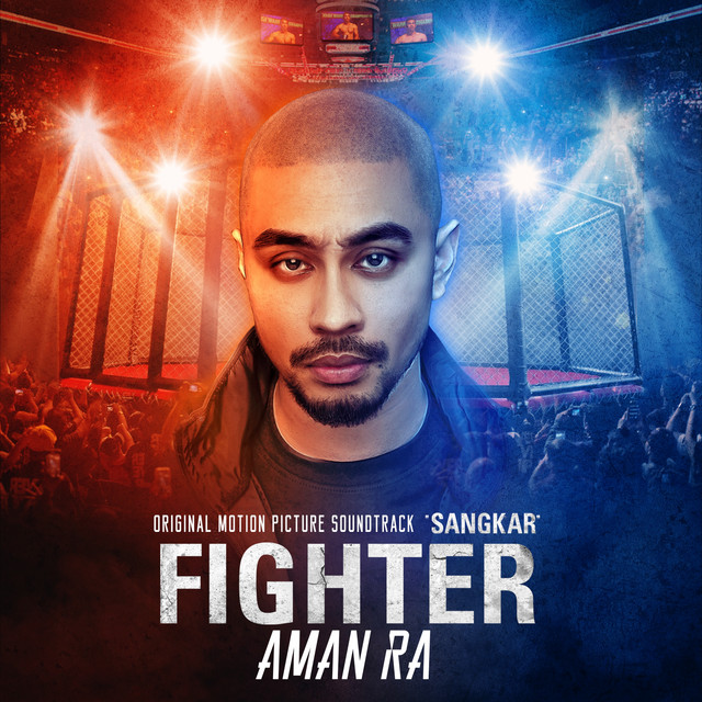 Fighter cover art