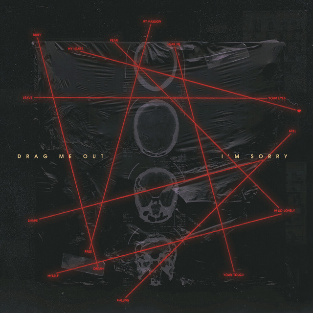 Capa de I'm Sorry - Drag Me Out