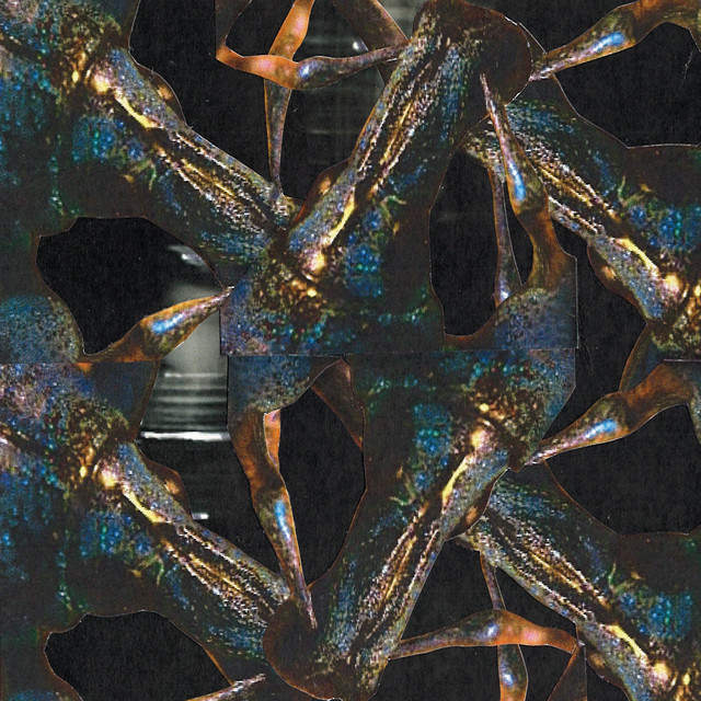 uncare & float cover