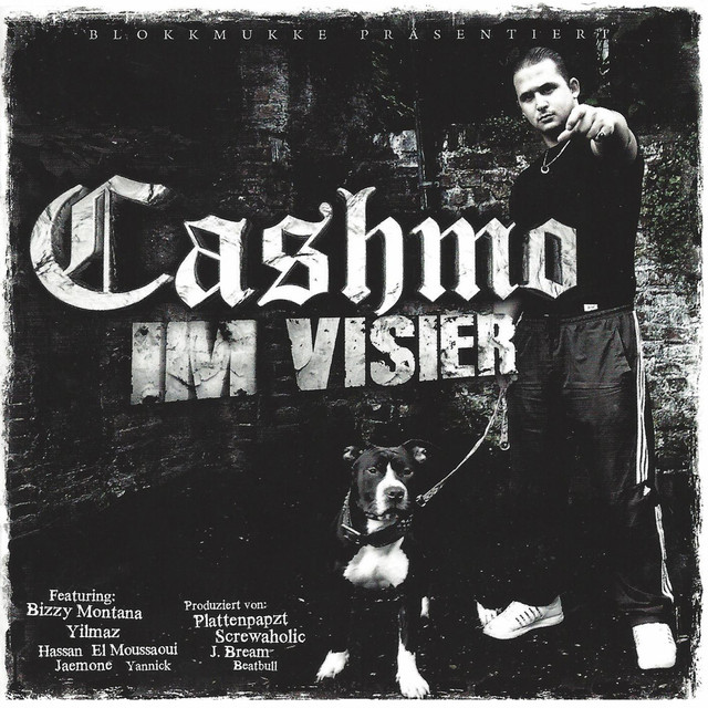 Im Visier cover art
