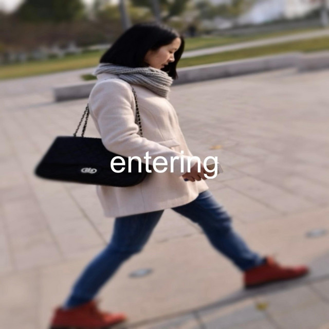 entering cover art