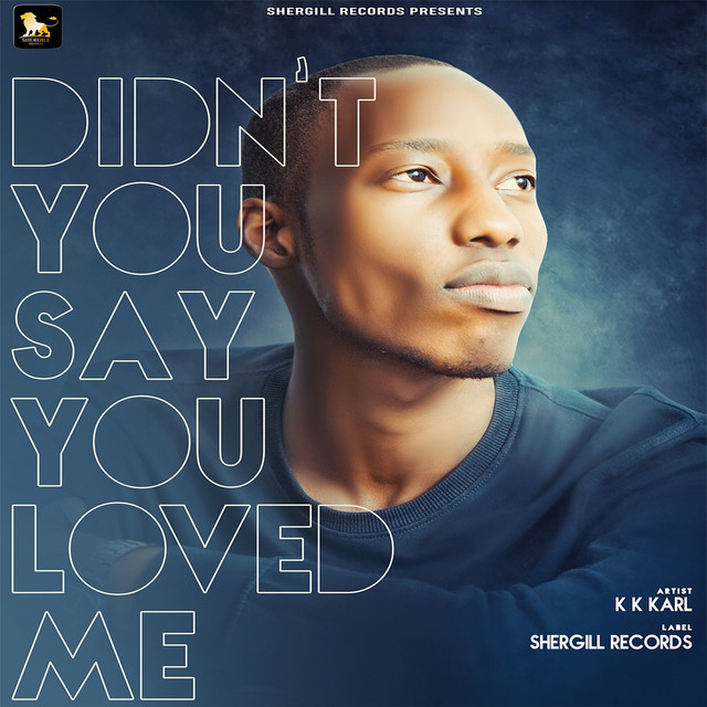Didn't You Say You Loved Me cover