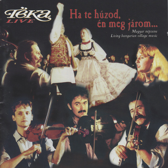 Ha te húzod én meg járom... (Magyar népzene) cover art