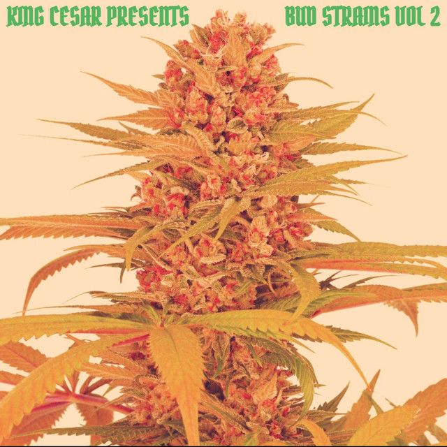 Bud Strains 2 cover art