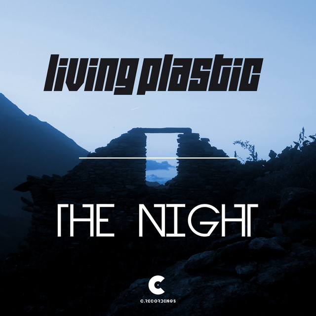 The Night cover