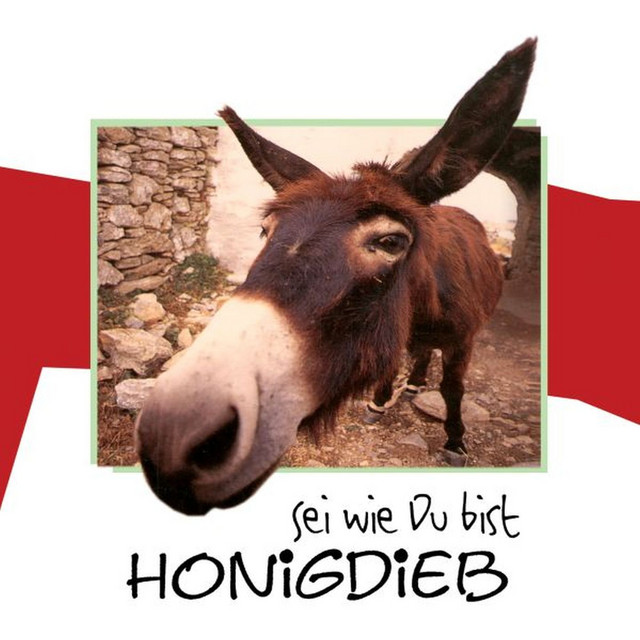 Honigdieb photo