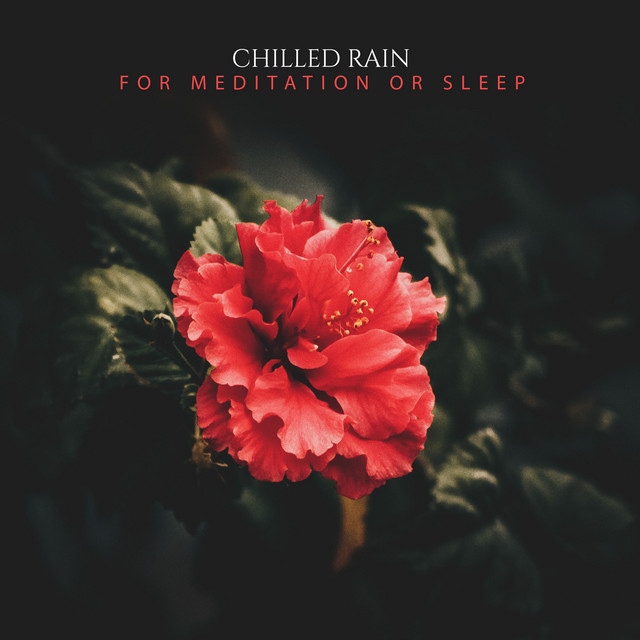 14 Chilled Rain Sounds for Meditation or Sleep cover art