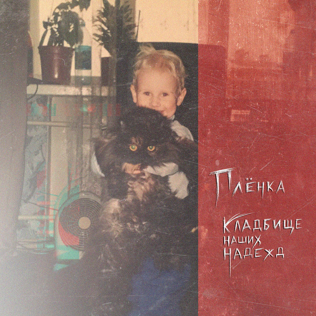 плёнка