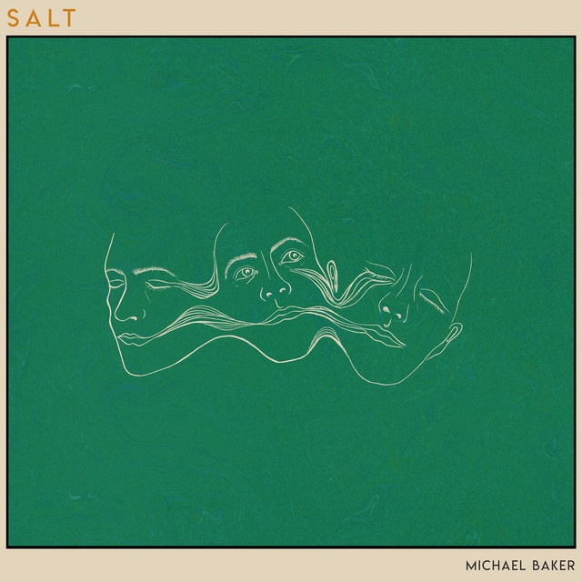 Salt cover art
