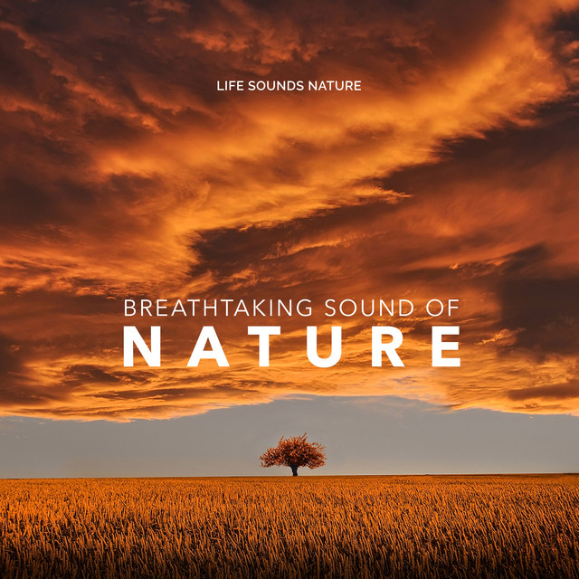Breathtaking Sound of Nature - Album by Life Sounds Nature | Spotify