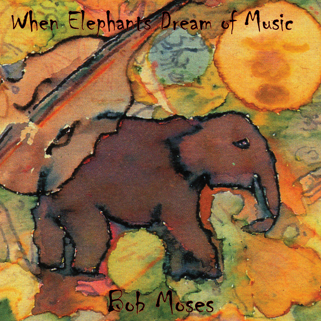 When Elephants Dream of Music cover art