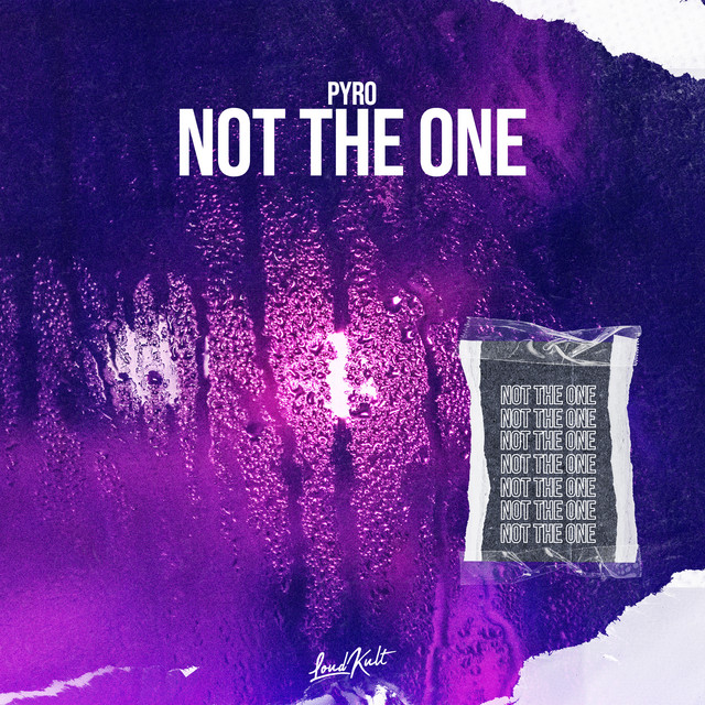 Not the One cover