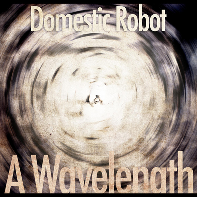 Domestic Robot Photo