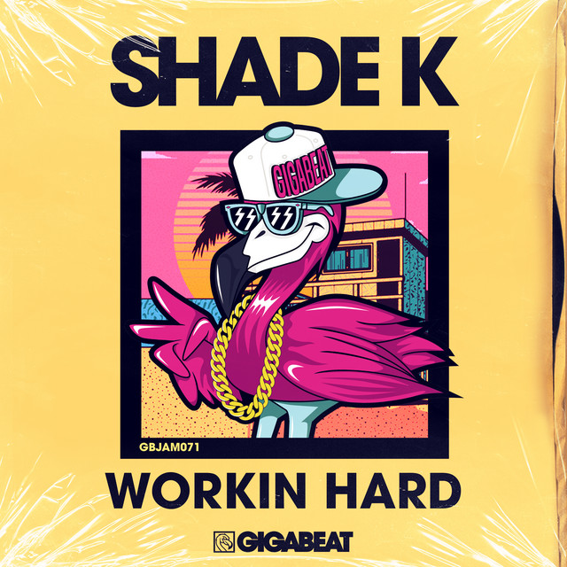 WORKIN HARD - DUB EDIT album art