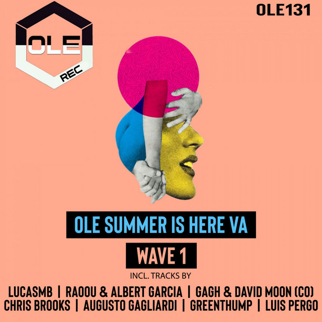 Ole Summer Is Here VA Wave 1 cover