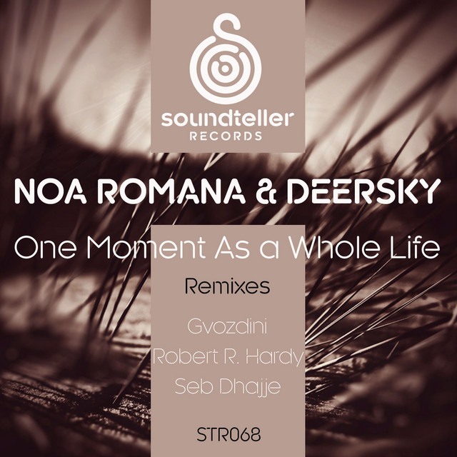 One Moment as a Whole Life - Robert R. Hardy Remix cover art