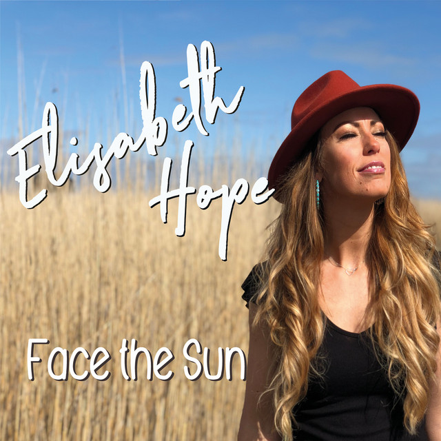 Face the Sun cover art
