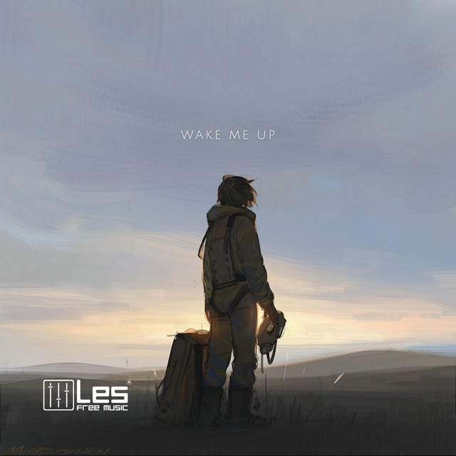 Обкладинка: Wake me Up — Lesfm