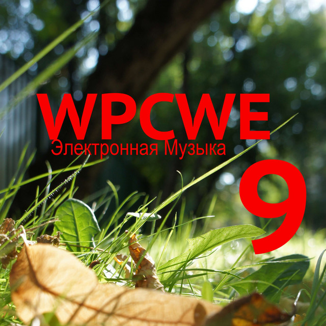 Электронная Музыка 9 cover art