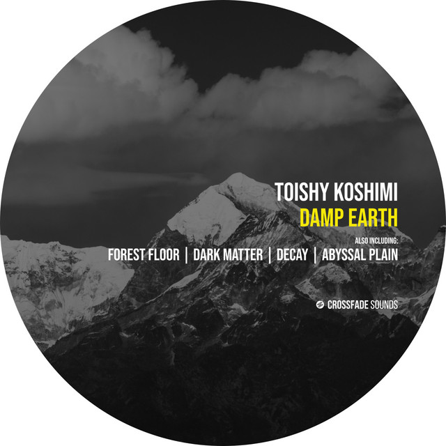Cover art for Toishy Koshimi — Damp Earth