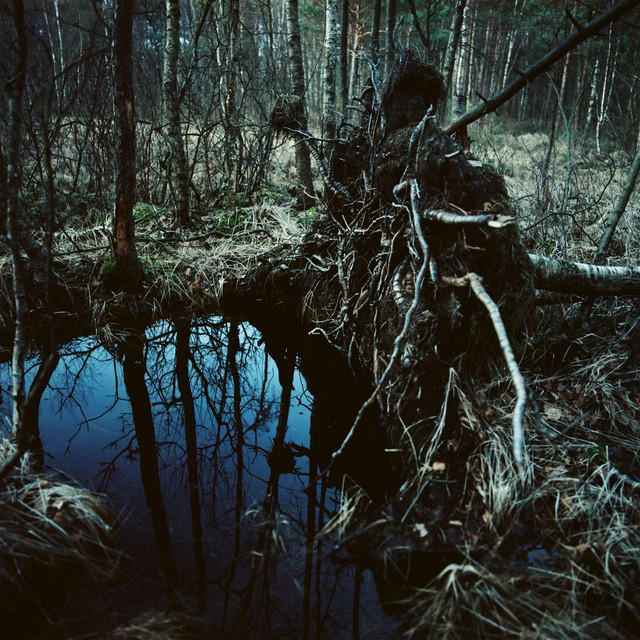 Rötter cover art